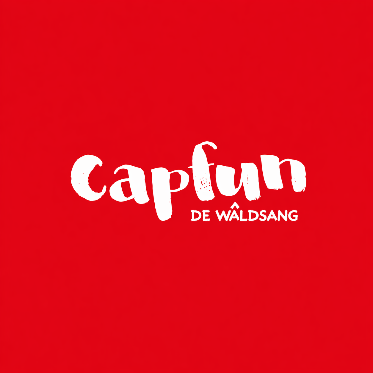 Capfun De Wâldsang